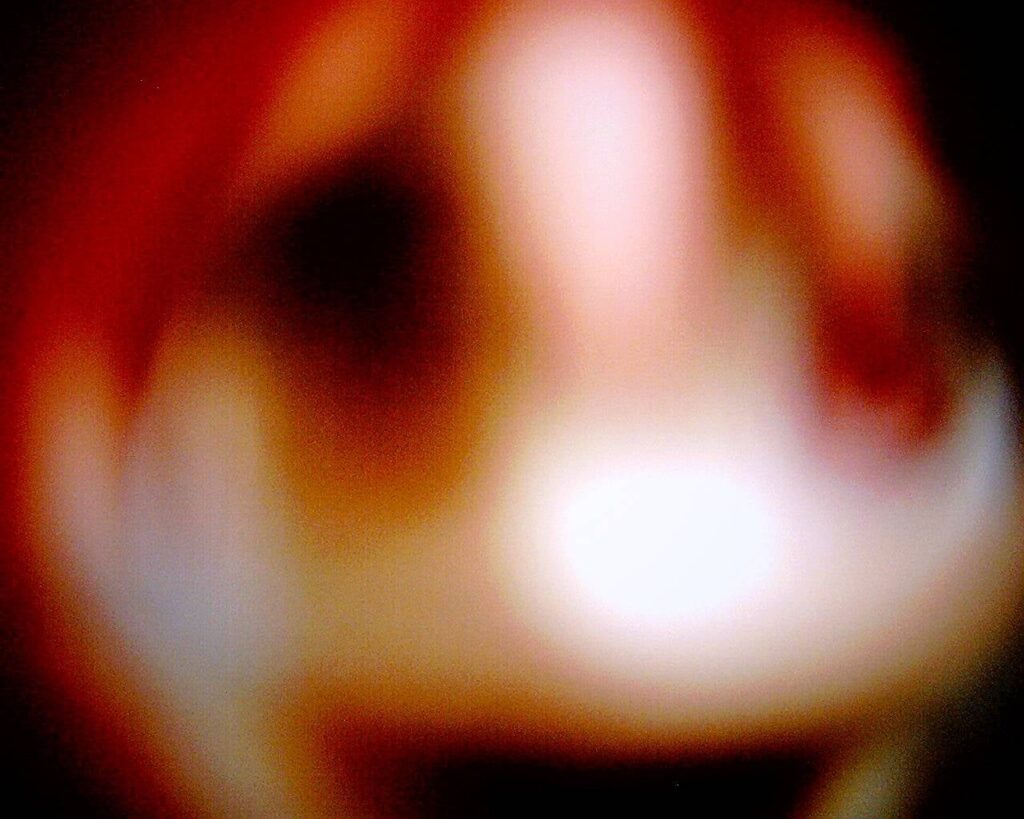 「Sbirciare」の中からの一枚